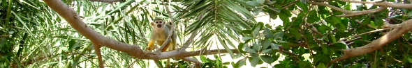 Exotic Park Teneriffa