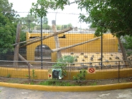 monkey park teneriffa schwarzer panther
