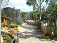 monkey park Affenkäfige