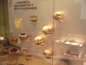 Schädel im Museum Natur Mensch Archäologie auf Teneriffa