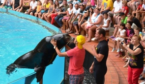 Pedrito-Pedro-Loro Parque