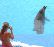 adeje aqualand teneriffa Mädchen fotografiert Delfin