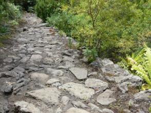 Teneriffa Aventura Wandern
