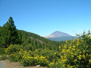 Teneriffa Mirador Teide Ortuno