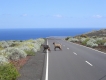Tiere Fuerteventura